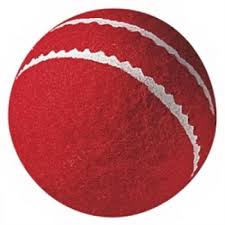 KOOKABURRA CRICKET BALLS - HEAVY TENNIS BALL BLISTER PACK